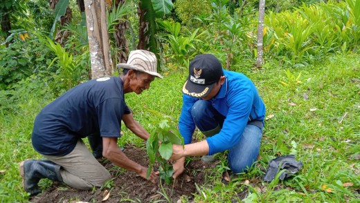 Mitigasi hutan dengan penanaman pohon yang bisa mengontrol oksigen